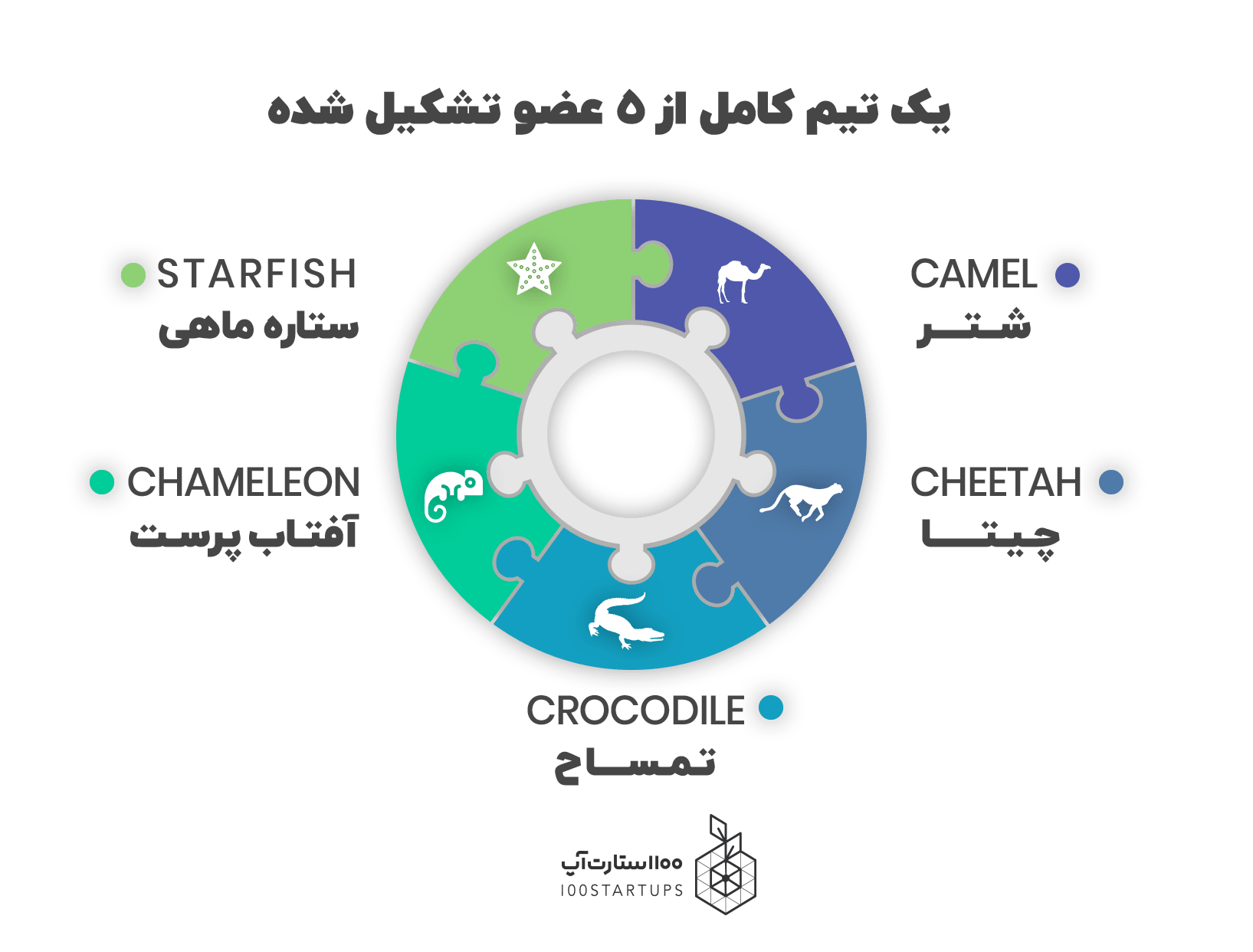 محمد حسین مسعودی در مقاله خود در مورد ویژگی تیم‌های موفق، اعضای یک تیم موفق را نام برد.