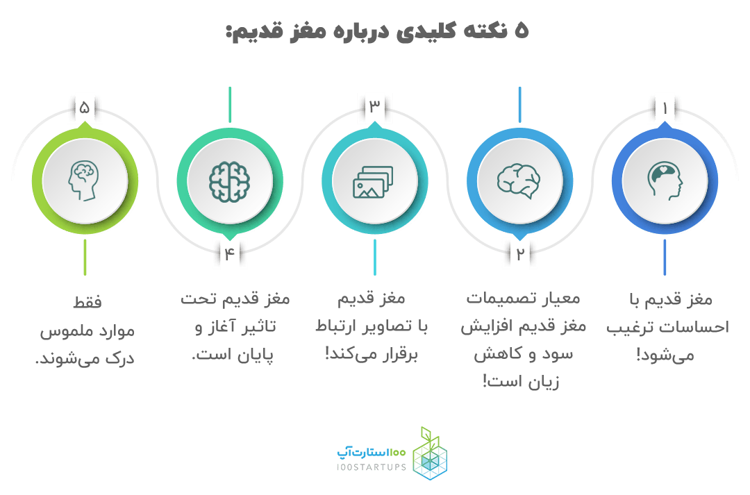  ۵ نکته کلیدی درباره مغز قدیم در مقاله بازاریابی عصبی در سایت 100استارتاپ