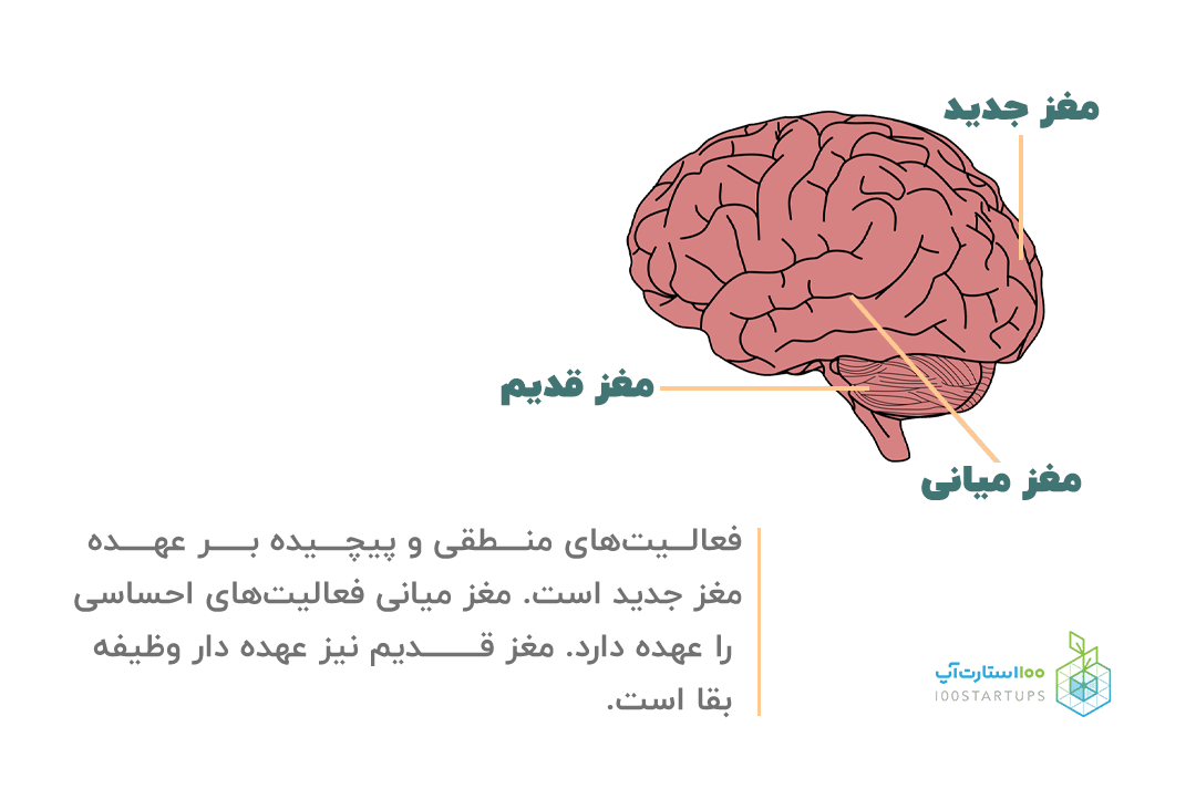 در مقاله بازاریابی عصبی از عملکرد مغز گفته شد