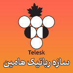 سازه رباتیک هامین